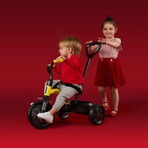 TRICIKL QPLAY ANT - GREY - Slika 3