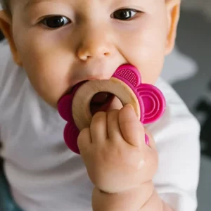 BABYONO SILIKONSKO DRVENA GRICKALICA ZA ZUBE LEPTIR - ROZA - Slika 2